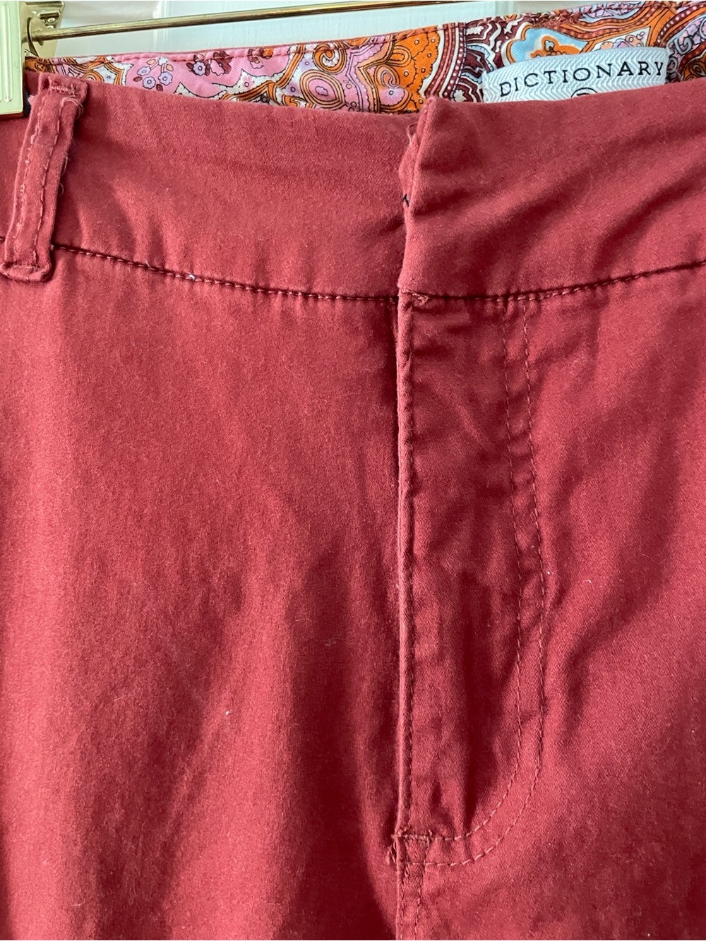 Women's Cropped Pants in Rust Red by Dictionary 14